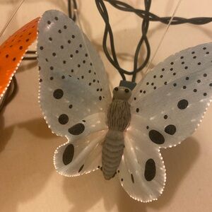 Butterfly Lights 🦋